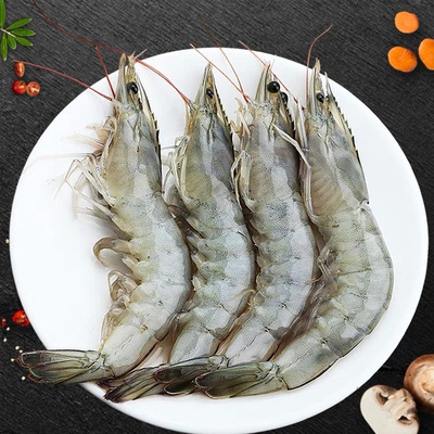 南美白对虾 约16只